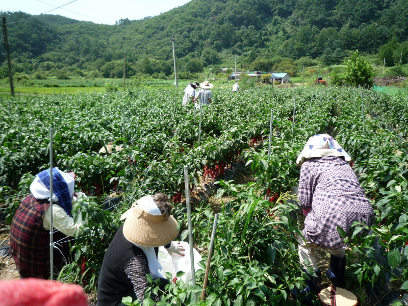 ��õ ��ó�� ���� ���� ��Ȯ ���(2015.8.17~18)