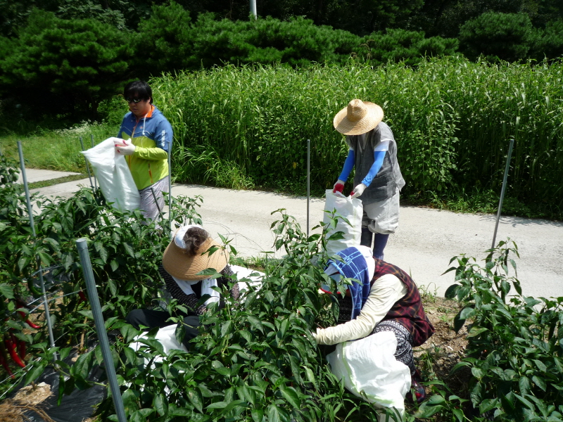 ��õ ��ó�� ���� ���� ��Ȯ ���(2015.8.17~18)