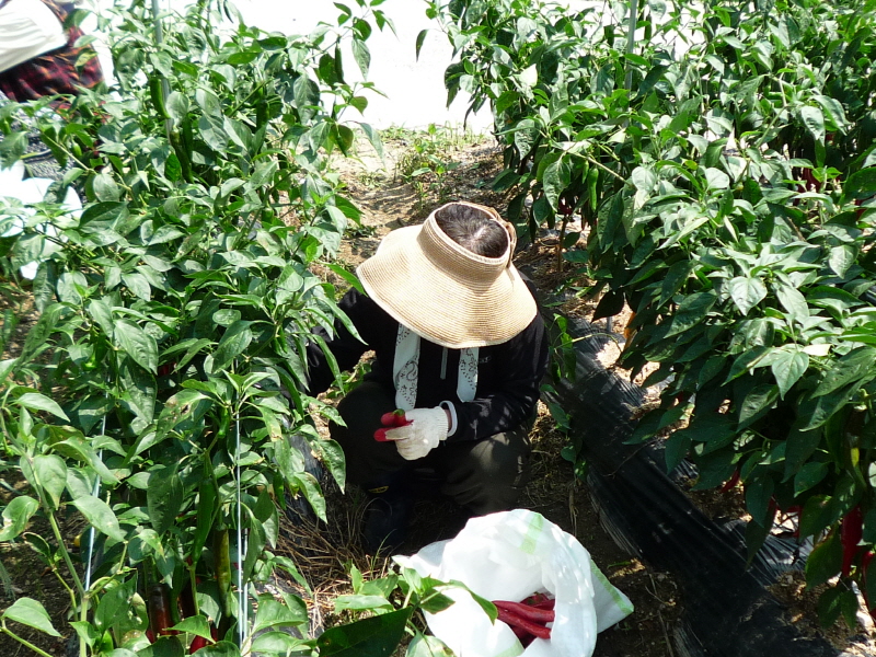 ��õ ��ó�� ���� ���� ��Ȯ ���(2015.8.17~18)