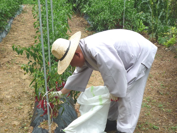 ��õ ��ó�� ���� ���� ��Ȯ ���(2015.8.17~18)