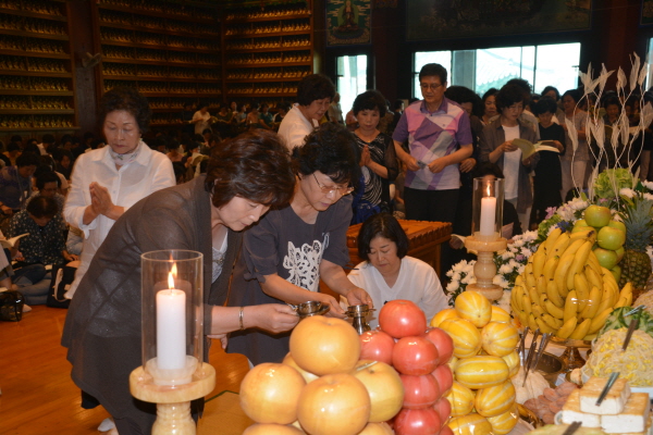 �� ����ü ���� Ư����ȸ / ����ȸ��(2015.8.28) 