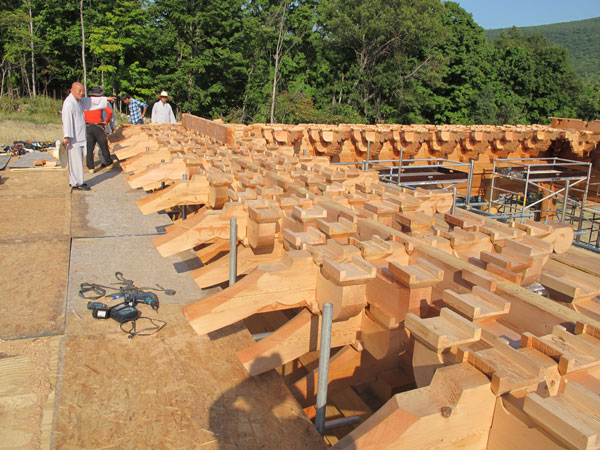 �̱� ���� ������ ����� �һ� ����