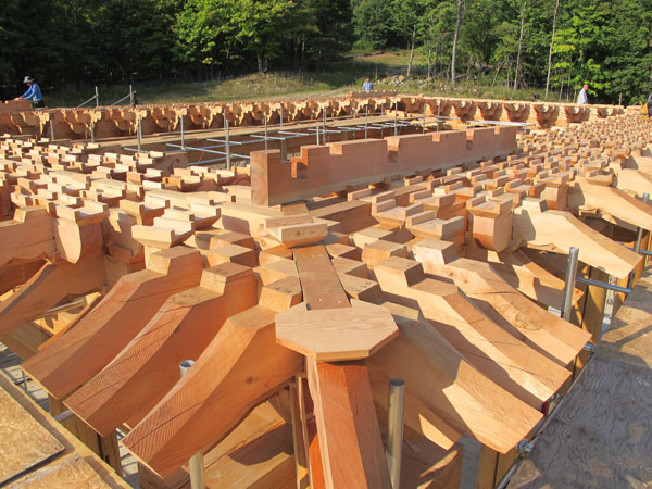 �̱� ���� ������ ����� �һ� ����