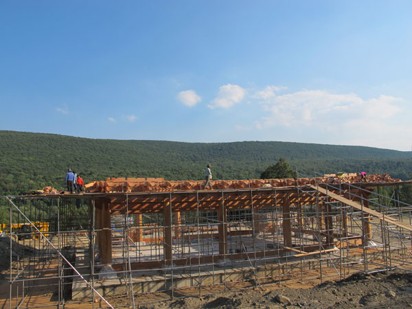 �̱� ���� ������ ����� �һ� ����