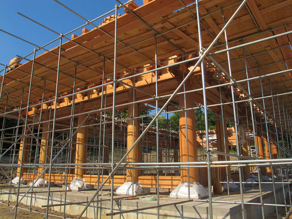 �̱� ���� ������ ����� �һ� ����