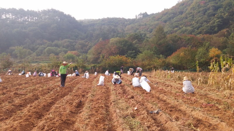 ��õ ��ó�Ը��� ������ ��Ȯ(2015.10.8)