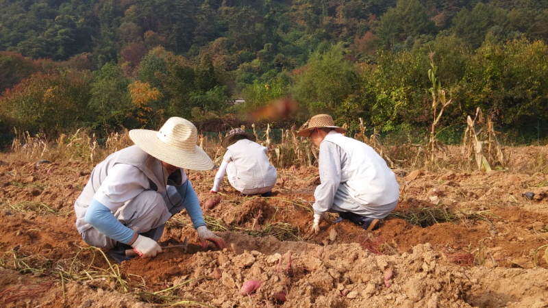 ��õ ��ó�Ը��� ������ ��Ȯ(2015.10.8)