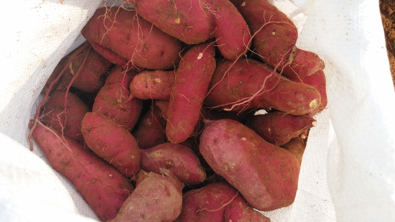 ��õ ��ó�Ը��� ������ ��Ȯ(2015.10.8)