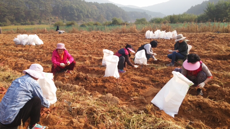 ��õ ��ó�Ը��� ������ ��Ȯ(2015.10.8)