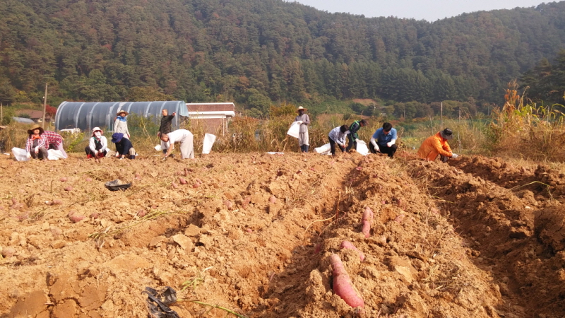 ��õ ��ó�Ը��� ������ ��Ȯ(2015.10.8)