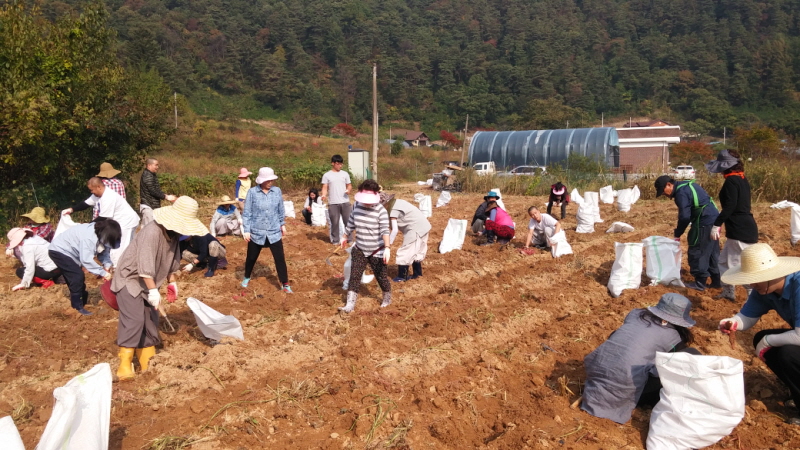 ��õ ��ó�Ը��� ������ ��Ȯ(2015.10.8)