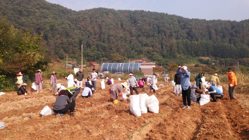 ��õ ��ó�Ը��� ������ ��Ȯ(2015.10.8)