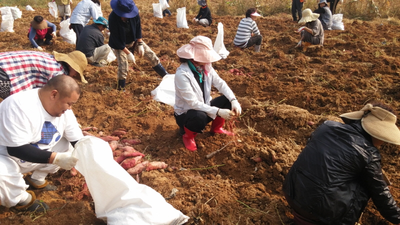 ��õ ��ó�Ը��� ������ ��Ȯ(2015.10.8)