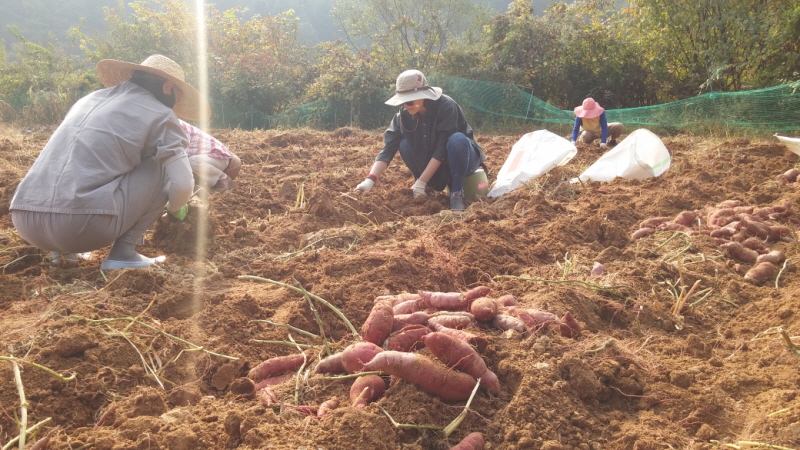 ��õ ��ó�Ը��� ������ ��Ȯ(2015.10.8)