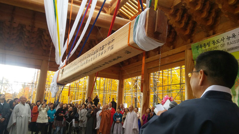 ���� ������ ����� �󷮽� ����(2015�� 10�� 25��)