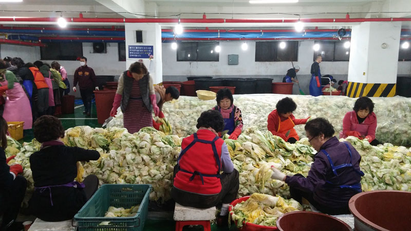 ���������ױ�