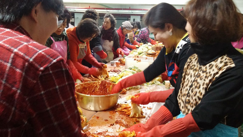 ���������ױ�