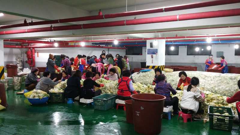 ���������ױ�