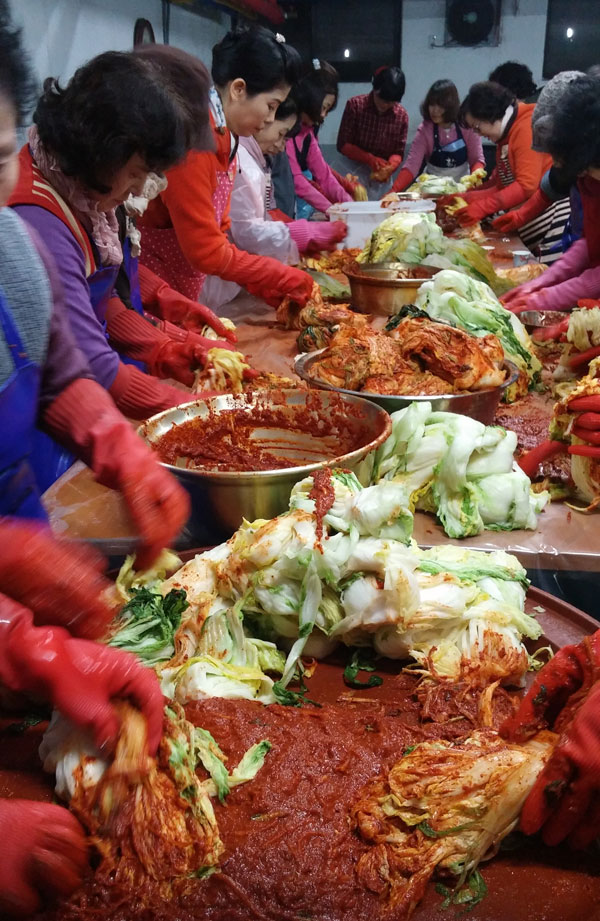 ���������ױ�