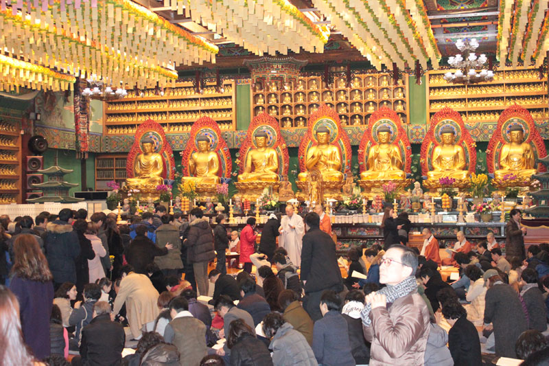 ���յ����� 2016��