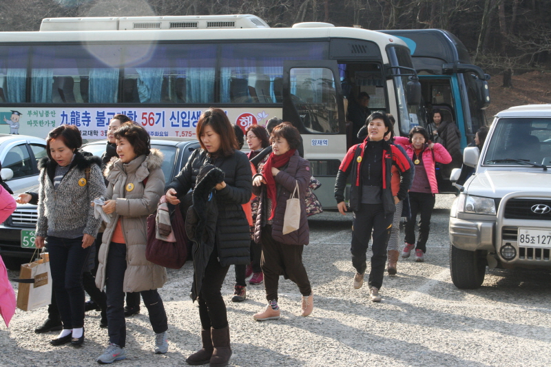 �뵵�� �ų� ���ü���(2016�� 2��19��)