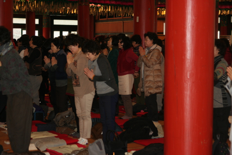 �뵵�� �ų� ���ü���(2016�� 2��19��)