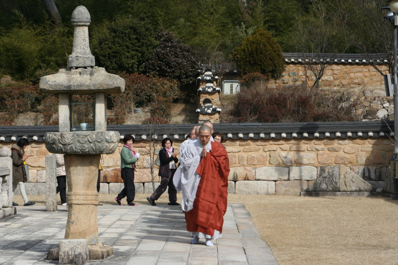 �뵵�� �ų� ���ü���(2016�� 2��19��)