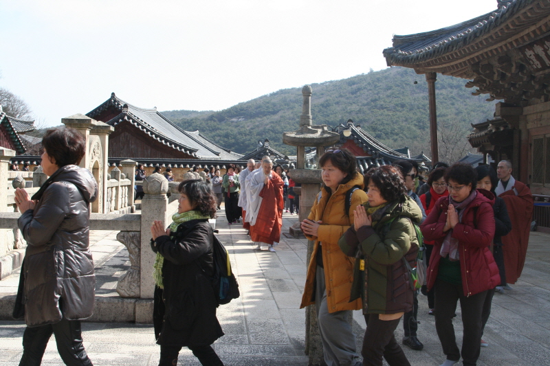 �뵵�� �ų� ���ü���(2016�� 2��19��)