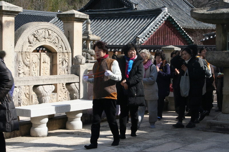 �뵵�� �ų� ���ü���(2016�� 2��19��)