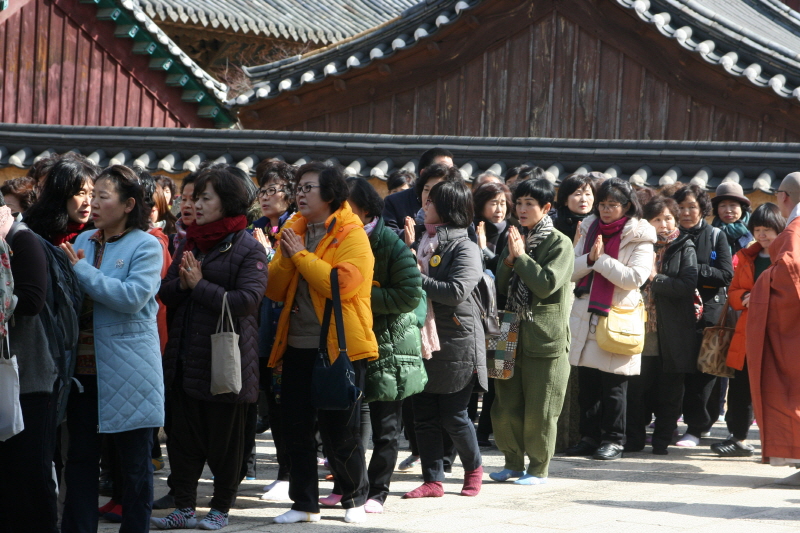 �뵵�� �ų� ���ü���(2016�� 2��19��)