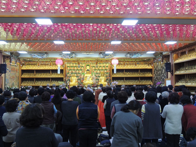 ��Ȼ� �Ҵ� ���� �� ������ȭ ���Ƚ�