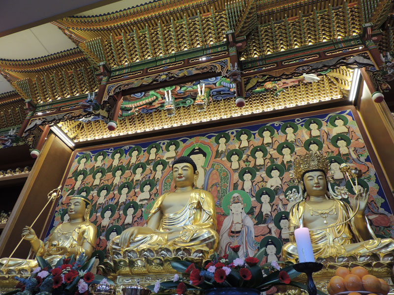 ��Ȼ� �Ҵ� ���� �� ������ȭ ���Ƚ�