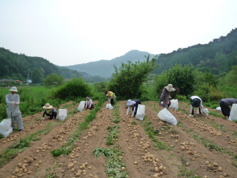 ��õ���ڿ�� 2016��