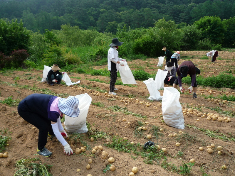 ��õ���ڿ�� 2016��