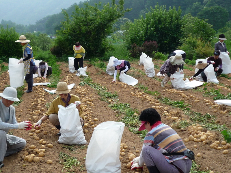 ��õ���ڿ�� 2016��