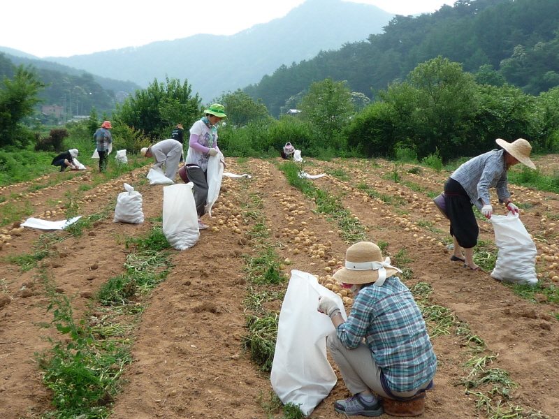 ��õ���ڿ�� 2016��