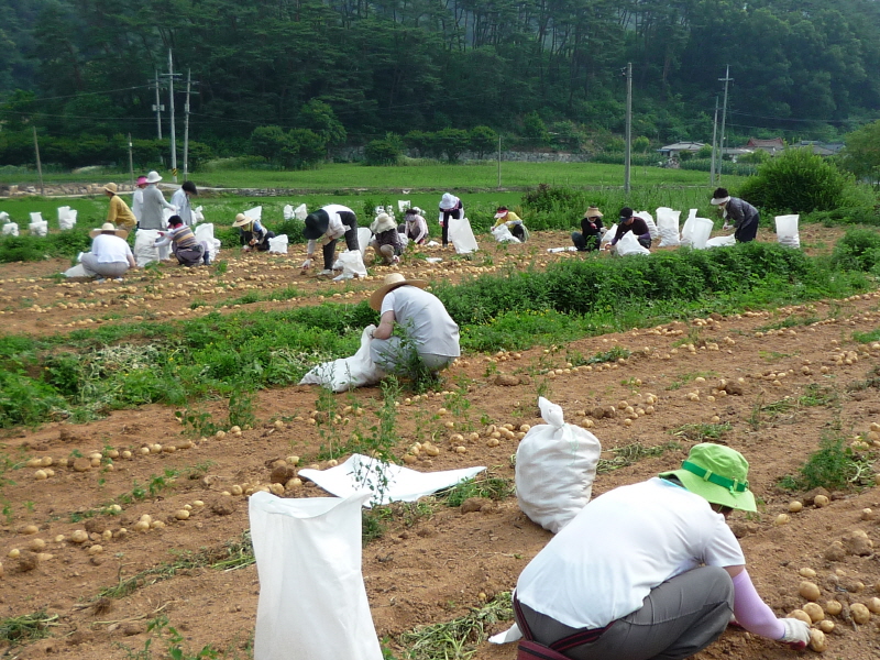 ��õ���ڿ�� 2016��