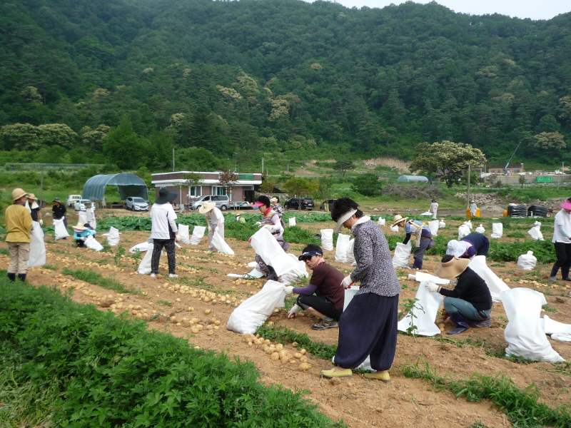 ��õ���ڿ�� 2016��