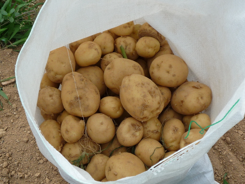 ��õ���ڿ�� 2016��