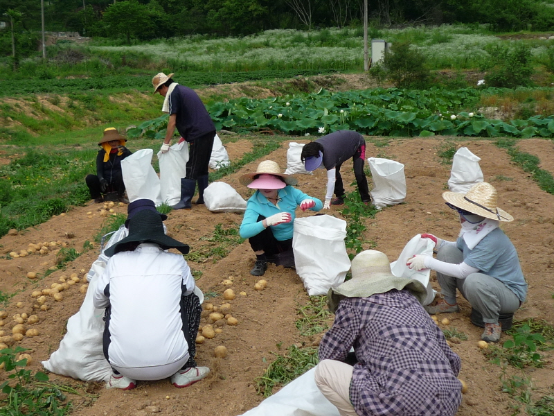 ��õ���ڿ�� 2016��