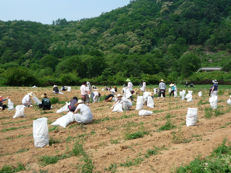 ��õ���ڿ�� 2016��