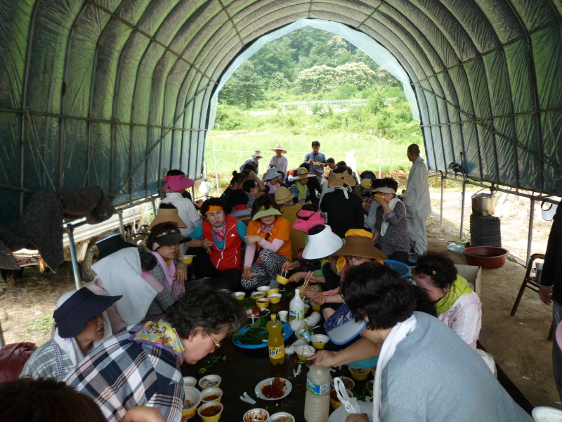 ��õ���ڿ�� 2016��