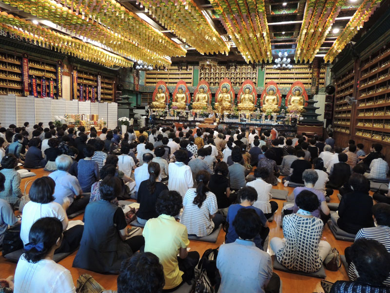 �������� 2016��