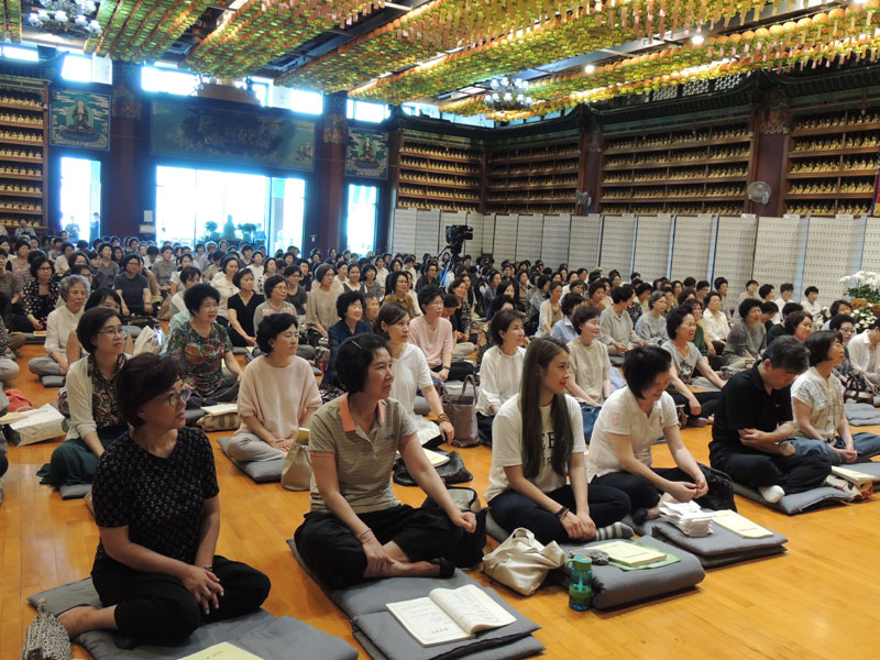 �������� 2016��