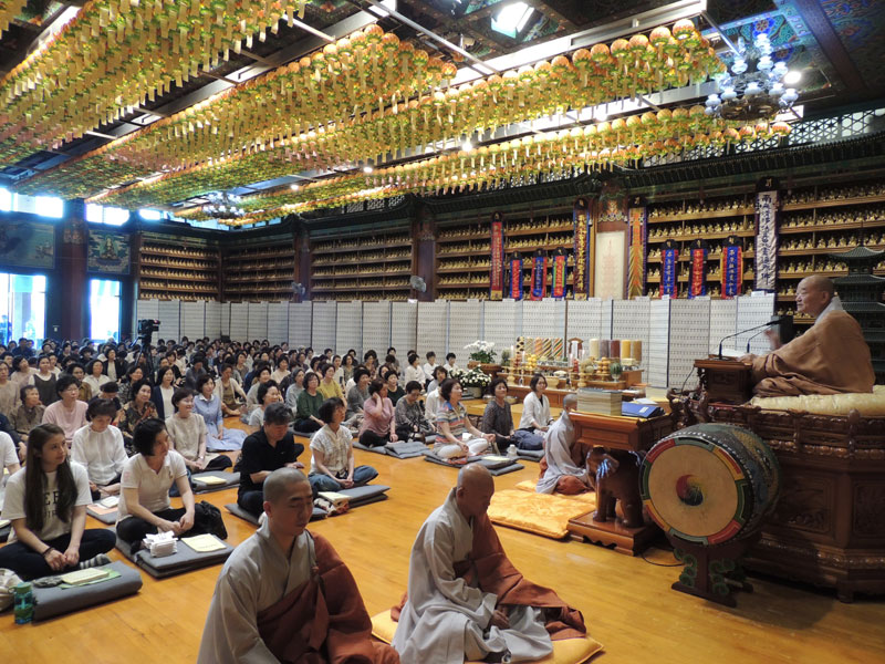 �������� 2016��