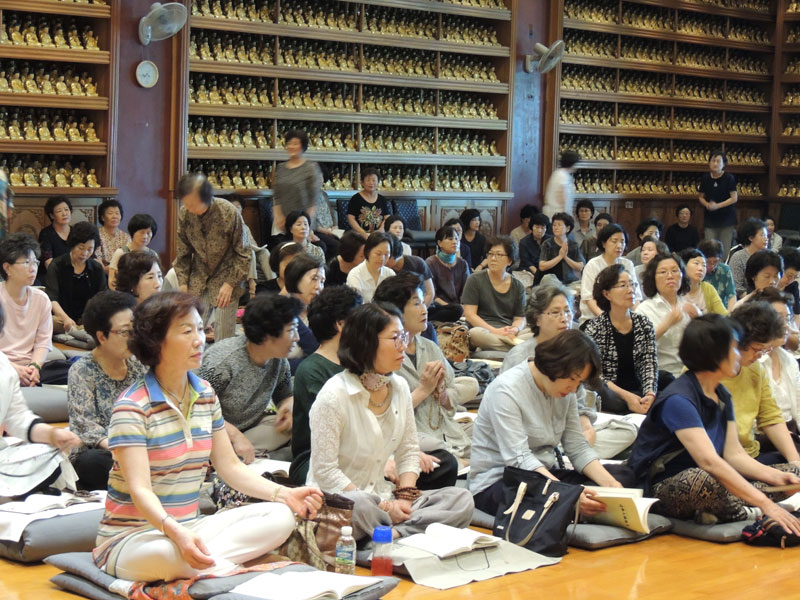 �������� 2016��