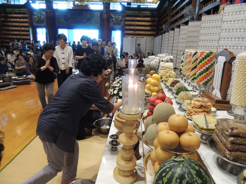 �������� 2016��