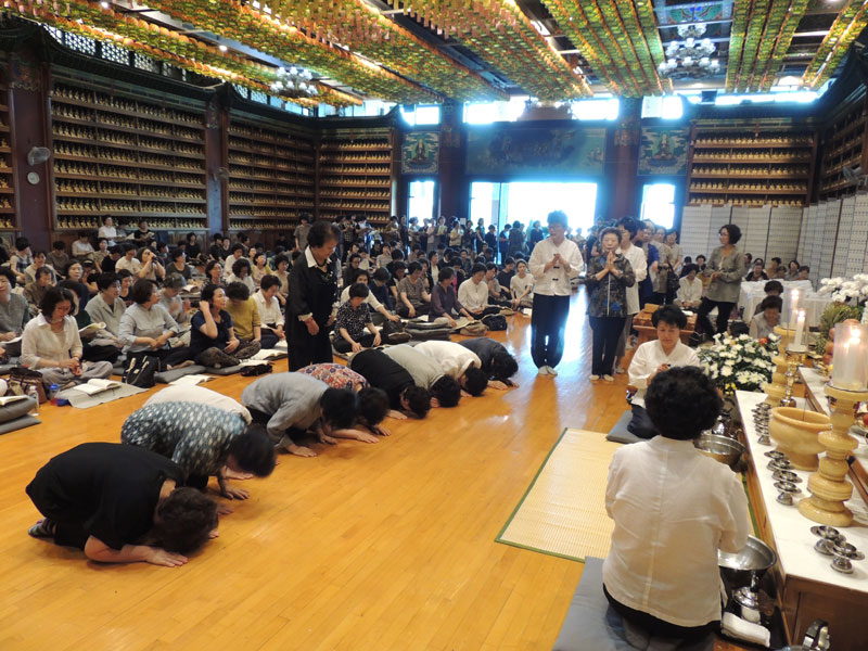 �������� 2016��