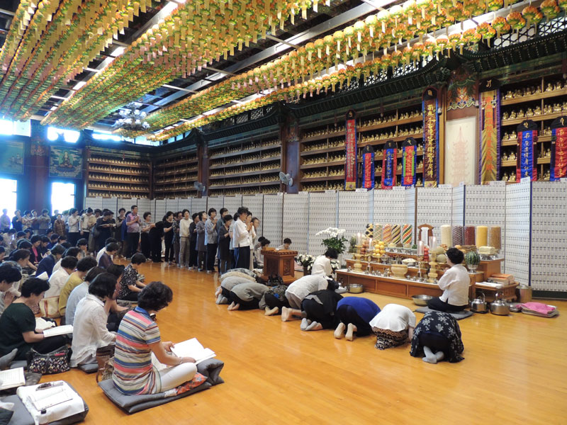 �������� 2016��