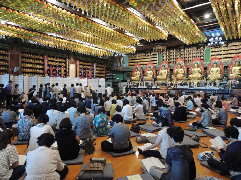 �������� 2016��